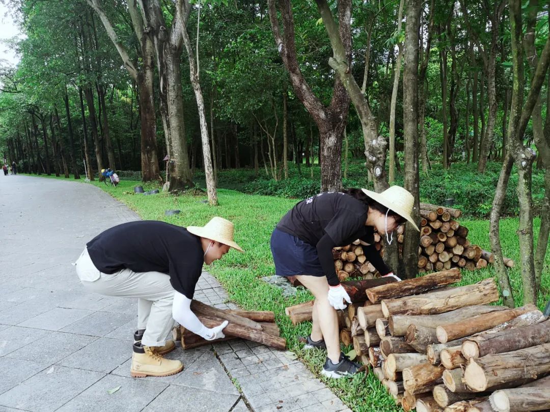 說明: https://mmbiz.qpic.cn/mmbiz_jpg/JdHquDdPGESuqBYTALibdwp2ftRK5t9XGXscUW2PSuD62c4rlgQWzDaKuicYbKlaN7X3CzXDjSALrHAMKXH3MoJg/640?wx_fmt=jpeg