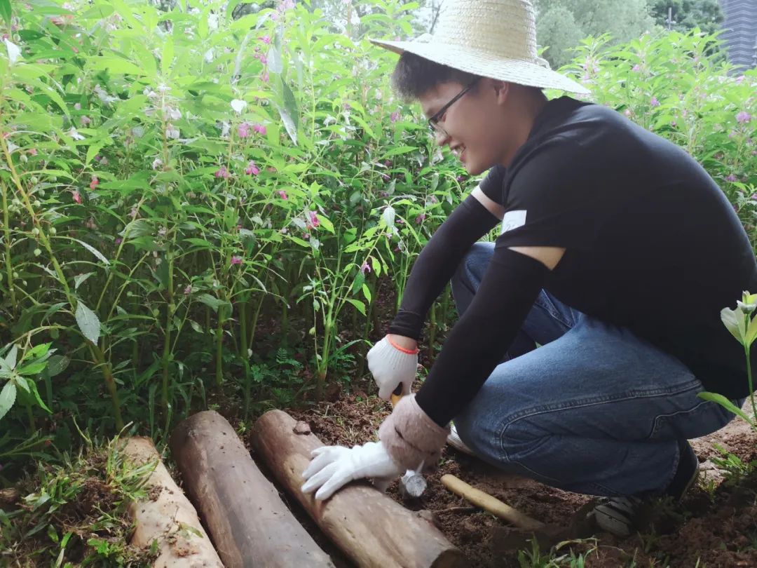 說明: https://mmbiz.qpic.cn/mmbiz_jpg/JdHquDdPGESuqBYTALibdwp2ftRK5t9XGS3ibapTmiagHK7LnYcL2EAR8Qog7ebpzeeiaTbJSw7vd0bA2NIxpHiaUGQ/640?wx_fmt=jpeg